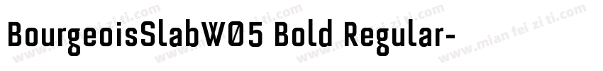 BourgeoisSlabW05 Bold Regular字体转换